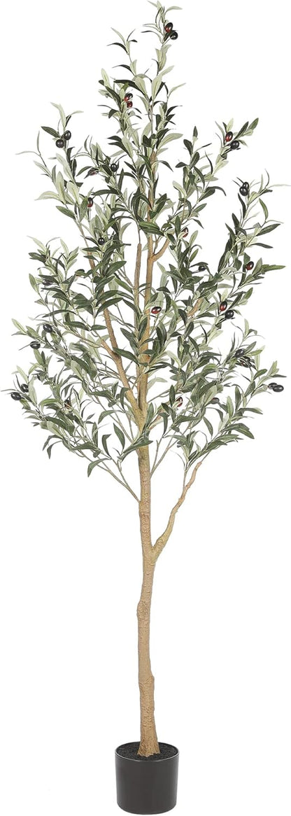 6ft Olive Trees Artificial Indoor with Realistic Appearance | Tall Faux Olive Tree with Natural Trunk, Lifelike Leaves, Sturdy Base - Fake Olive Trees for Modern Home Office Decor
