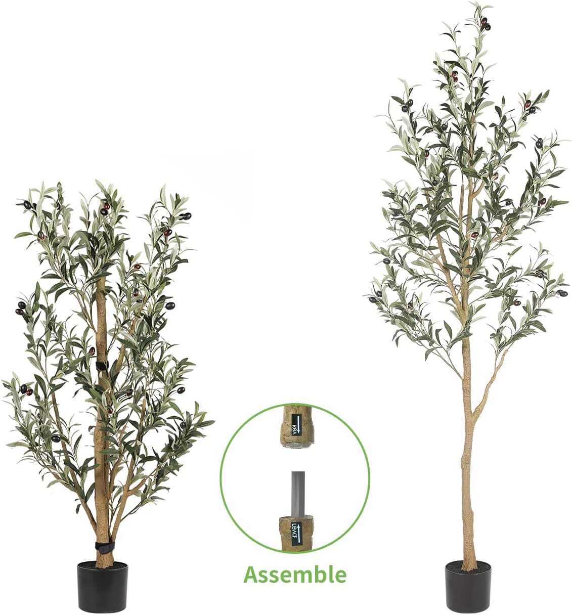 6ft Olive Trees Artificial Indoor with Realistic Appearance | Tall Faux Olive Tree with Natural Trunk, Lifelike Leaves, Sturdy Base - Fake Olive Trees for Modern Home Office Decor