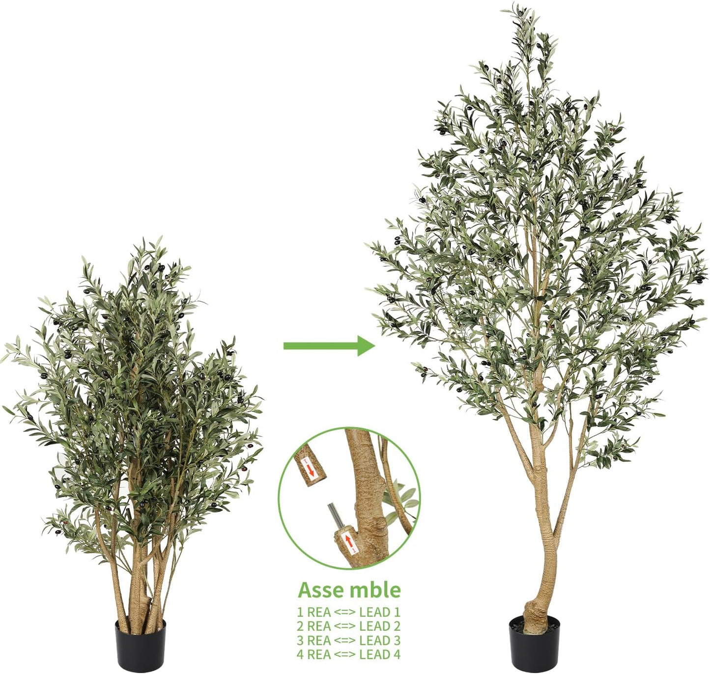 6ft Olive Trees Artificial Indoor with Realistic Appearance | Tall Faux Olive Tree with Natural Trunk, Lifelike Leaves, Sturdy Base - Fake Olive Trees for Modern Home Office Decor