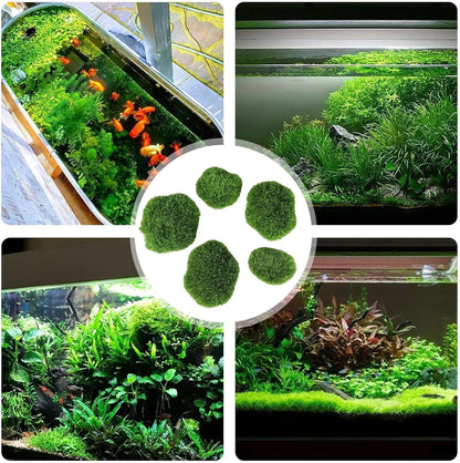 Moss Balls for Fish Tank Simulated Artificial Realistic Green Aquarium | Moss Balls Fish Tank Fish Tanks, Freshwater Saltwater Setups, Turtle Habitats, Planted TankScapes, Terrariums Desk