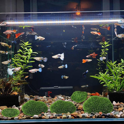 Moss Balls for Fish Tank Simulated Artificial Realistic Green Aquarium | Moss Balls Fish Tank Fish Tanks, Freshwater Saltwater Setups, Turtle Habitats, Planted TankScapes, Terrariums Desk