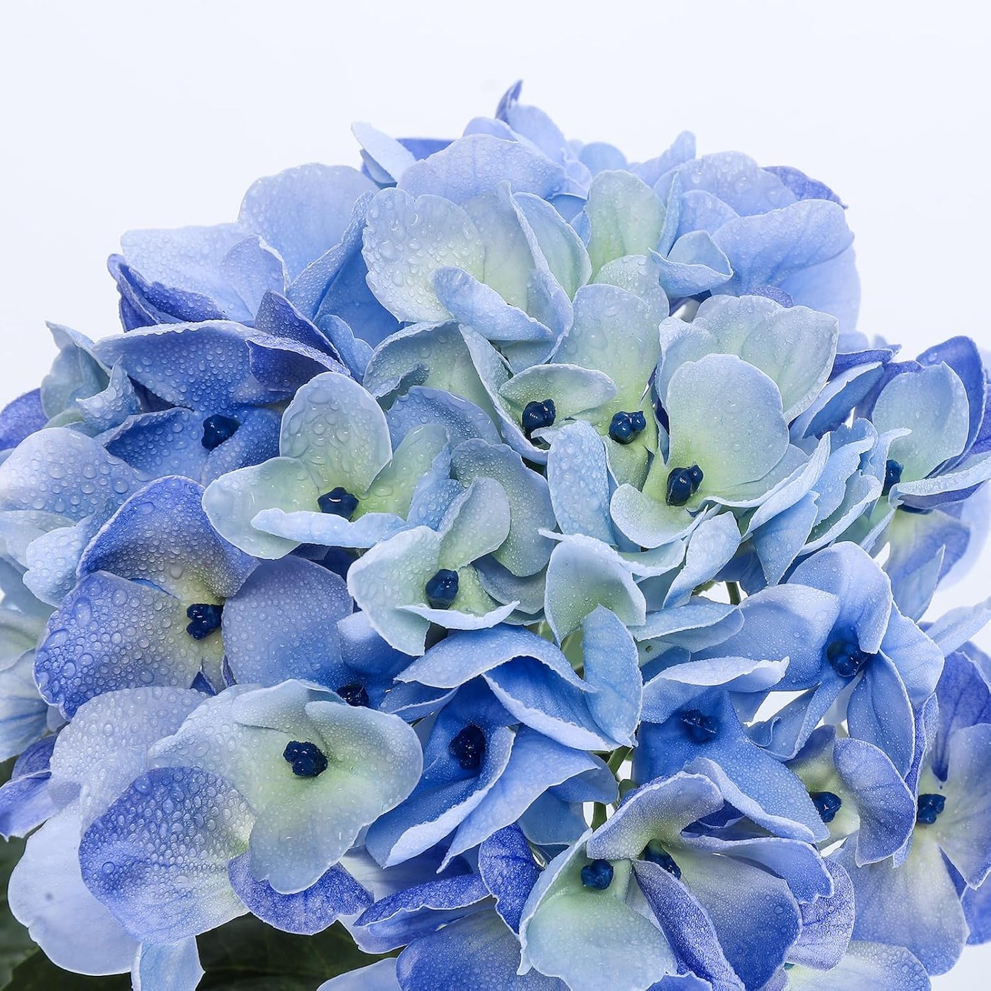 3pcs Lush Real Touch Hydrangea Artificial Flowers,Blue | 6.5" Flower Head, 24.8" Faux Bloom Flowers Stems for Home DIY Wedding Bouquet Arrangements Centerpieces Party Decor