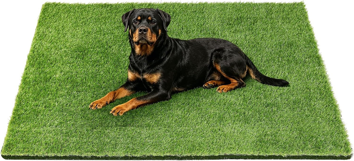 48" x 32" Premium Artificial Grass Mat for Dogs Cats