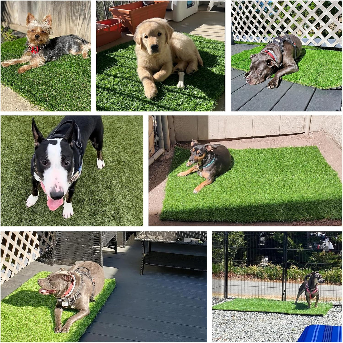 48" x 32" Premium Artificial Grass Mat for Dogs Cats