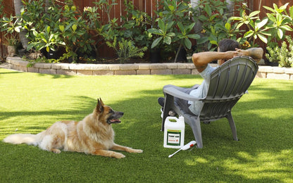 Turf Cleaner & Pet Odor Eliminator with Power Sprayer