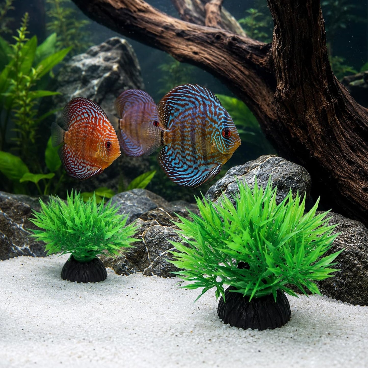 20 Pcs Artificial Aquarium Plants Fish Tank Plants Decoration | Plastic 1" Tall Aquarium Plant Decorations Mini Grass Set Plant Fish Tank Accessories (Green)