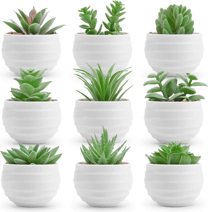 6 Pack Fake Plants Small Realistic Succulents Plants Artificial for Home Room Decor Indoor