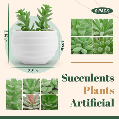 6 Pack Fake Plants Small Realistic Succulents Plants Artificial for Home Room Decor Indoor