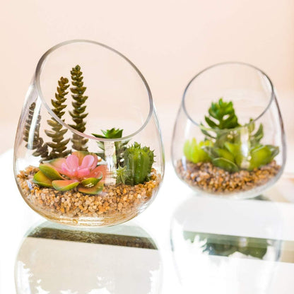 6 x 7 Inch Faux Succulent, 1 Artificial Succulent - In Incline Edge Glass Terrarium, Use As Table Or Shelf Decor, Centerpiece, Plastic Fake Desk Plant, For Homes Or Weddings