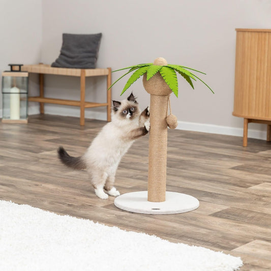 Palmela 25.6-in Palm Tree Cat Scratching Post with Jute Rope