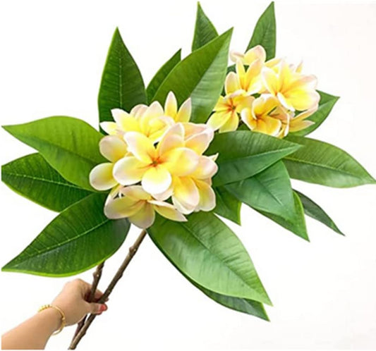 35.5 Inch Artificial Flowers Artificial Frangipani Flower Lifelike Real Touch Artificial Plumeria Flowers for Home Party Wedding Bouquet Home Decoration (Yellow) 2 Pack