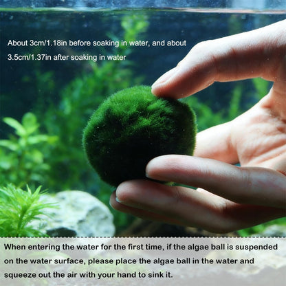 2PCS Live Moss Balls, Artificial Moss Ball for Fish Tank, Green Moss Balls for Desktop Fish Tanks, Freshwater Aquarium Ornament