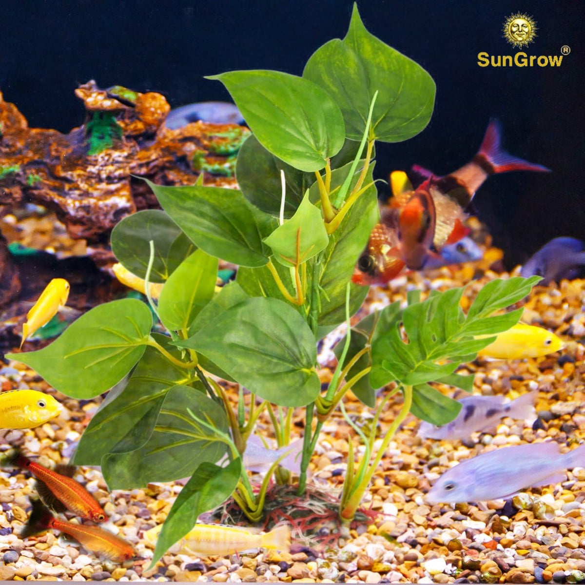 Plastic Leaf Plant, Heavy-Duty Ceramic Base, Hiding Spot for Fish, Betta, Angelfish, Gold Fish, Frog, Python, Reptiles, Amphibians (10 Inches, 1 Count)