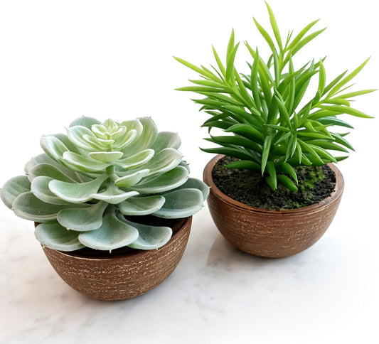 Artificial Succulents Plastic Artificial Green Plant for Office, Fake Succulents for Home Decoration (Set of 2 Succlents in Pots)