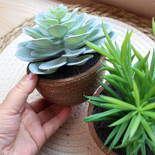 Artificial Succulents Plastic Artificial Green Plant for Office, Fake Succulents for Home Decoration (Set of 2 Succlents in Pots)