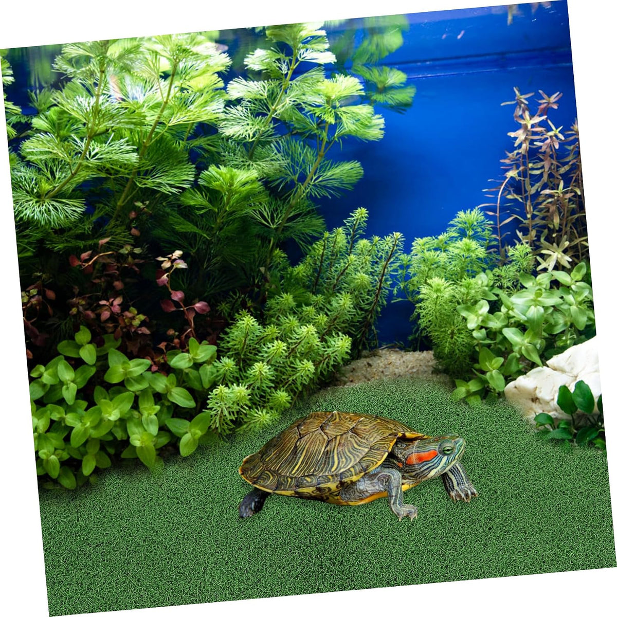 Turtle Basking Platform Turf with Climbing Design for Aquarium