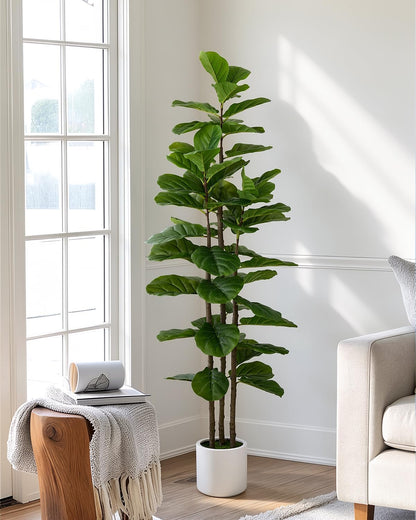 Artificial Fiddle Leaf Fig Tree in Modern White Planter, 5ft