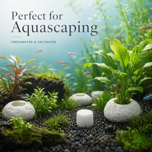 Natural River Stone Plant Weights for Aquarium, Handmade Pebble Anchors for Aquatic Plants, Fish Tank Decorations, Unique Shape & Size, Landscape Plant Weights (Small 0.8″ Hole 6pcs)