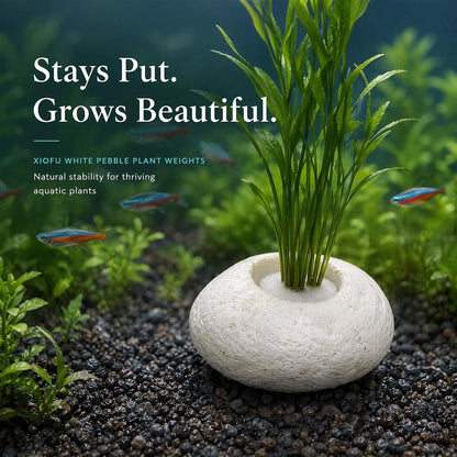 Natural River Stone Plant Weights for Aquarium, Handmade Pebble Anchors for Aquatic Plants, Fish Tank Decorations, Unique Shape & Size, Landscape Plant Weights (Small 0.8″ Hole 6pcs)