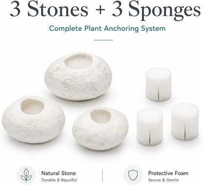 Natural River Stone Plant Weights for Aquarium, Handmade Pebble Anchors for Aquatic Plants, Fish Tank Decorations, Unique Shape & Size, Landscape Plant Weights (Small 0.8″ Hole 6pcs)