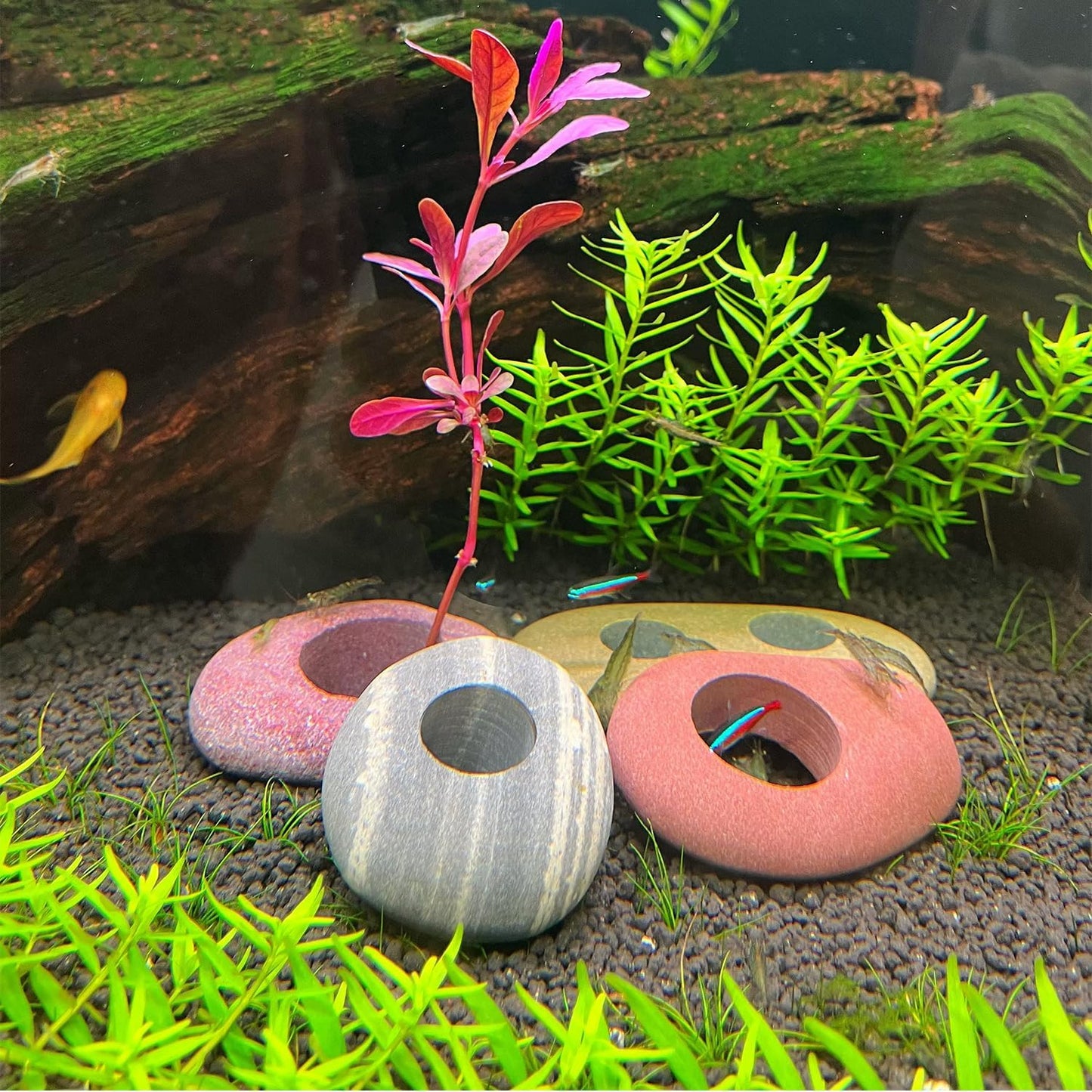 Natural River Stone Plant Weights for Aquarium, Handmade Pebble Anchors for Aquatic Plants, Fish Tank Decorations, Unique Shape & Size, Landscape Plant Weights (Small 0.8″ Hole 6pcs)