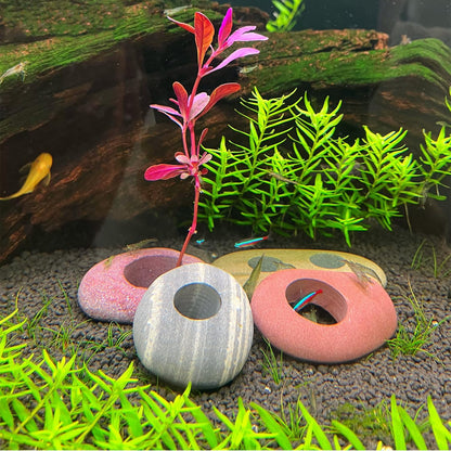 Natural River Stone Plant Weights for Aquarium, Handmade Pebble Anchors for Aquatic Plants, Fish Tank Decorations, Unique Shape & Size, Landscape Plant Weights (Small 0.8″ Hole 6pcs)