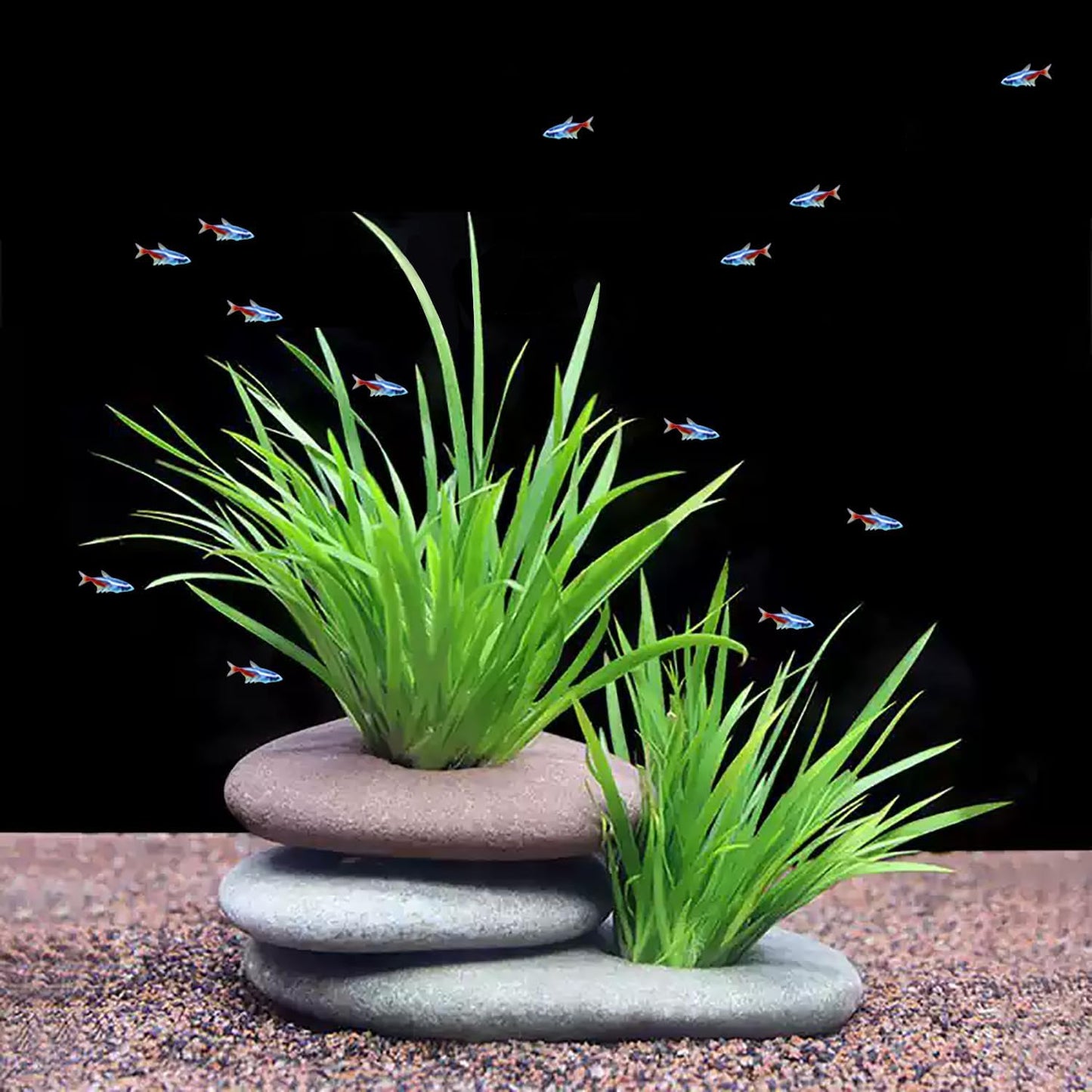 Natural River Stone Plant Weights for Aquarium, Handmade Pebble Anchors for Aquatic Plants, Fish Tank Decorations, Unique Shape & Size, Landscape Plant Weights (Small 0.8″ Hole 6pcs)