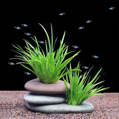 Natural River Stone Plant Weights for Aquarium, Handmade Pebble Anchors for Aquatic Plants, Fish Tank Decorations, Unique Shape & Size, Landscape Plant Weights (Small 0.8″ Hole 6pcs)