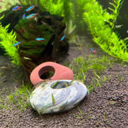 Natural River Stone Plant Weights for Aquarium, Handmade Pebble Anchors for Aquatic Plants, Fish Tank Decorations, Unique Shape & Size, Landscape Plant Weights (Small 0.8″ Hole 6pcs)