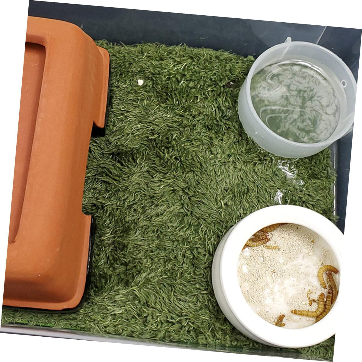 2pcs Crawling Carpets Moisturizing Artificial Grass Mats for Reptiles Amphibians Absorbent Natural Look Green