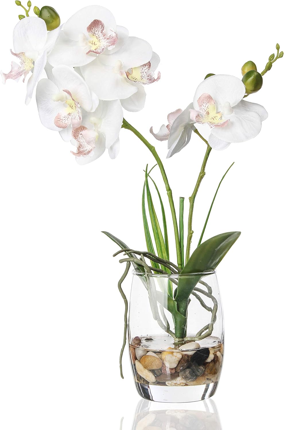 Jusdreen Artificial Purple Orchid in Glass Vase, Realistic Phalaenopsis Arrangement with Potting for Home Office Table Decor, 14.5 Inch Flower Centerpiece