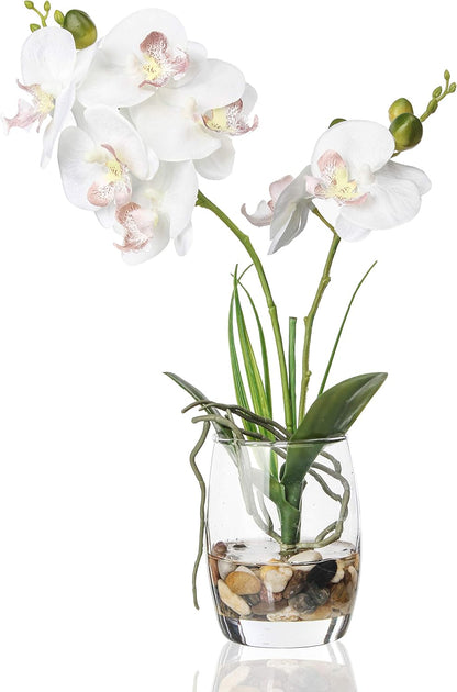 Jusdreen Artificial Purple Orchid in Glass Vase, Realistic Phalaenopsis Arrangement with Potting for Home Office Table Decor, 14.5 Inch Flower Centerpiece