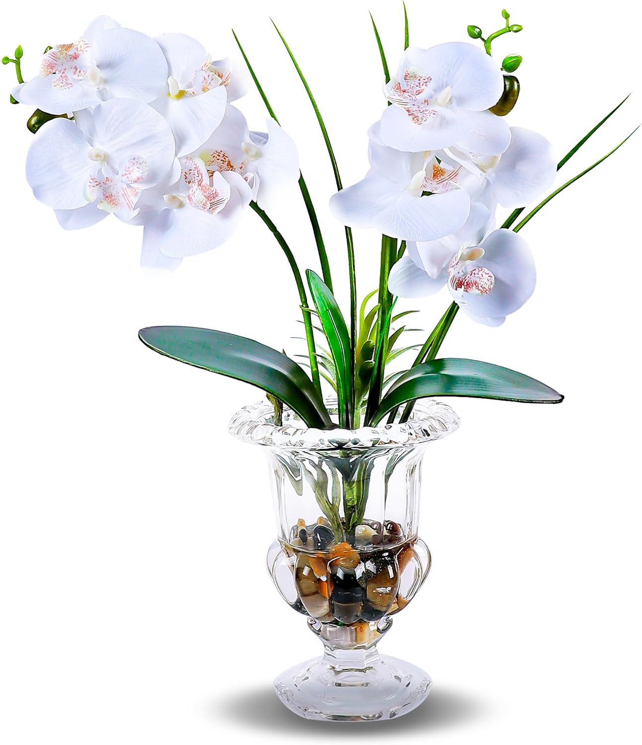 Jusdreen Artificial Purple Orchid in Glass Vase, Realistic Phalaenopsis Arrangement with Potting for Home Office Table Decor, 14.5 Inch Flower Centerpiece