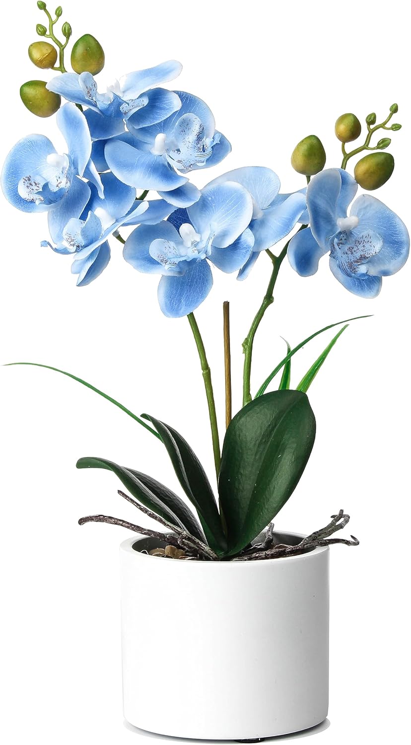 Jusdreen Artificial Purple Orchid in Glass Vase, Realistic Phalaenopsis Arrangement with Potting for Home Office Table Decor, 14.5 Inch Flower Centerpiece