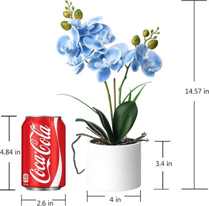 Jusdreen Artificial Purple Orchid in Glass Vase, Realistic Phalaenopsis Arrangement with Potting for Home Office Table Decor, 14.5 Inch Flower Centerpiece