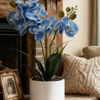 Jusdreen Artificial Purple Orchid in Glass Vase, Realistic Phalaenopsis Arrangement with Potting for Home Office Table Decor, 14.5 Inch Flower Centerpiece