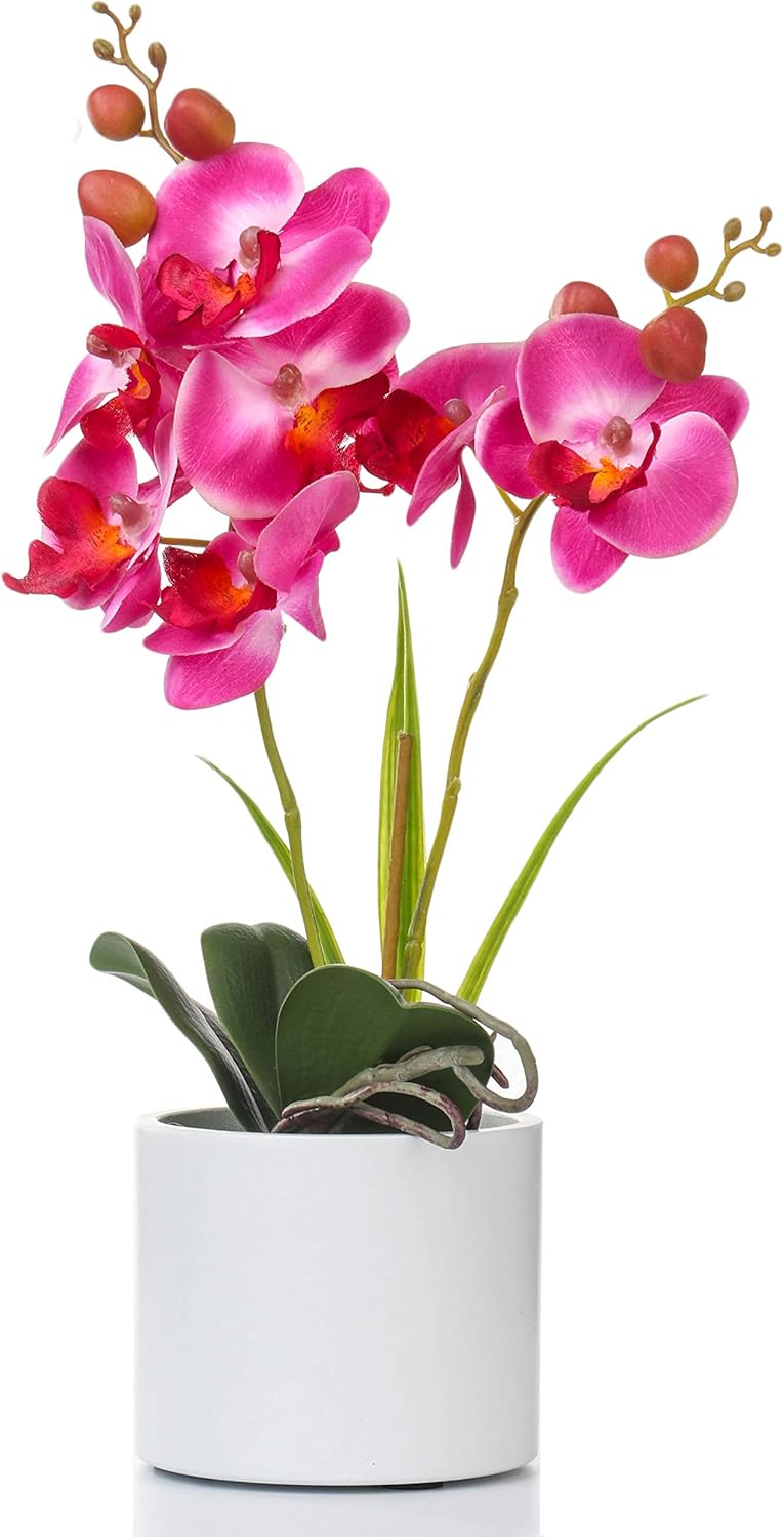 Jusdreen Artificial Purple Orchid in Glass Vase, Realistic Phalaenopsis Arrangement with Potting for Home Office Table Decor, 14.5 Inch Flower Centerpiece
