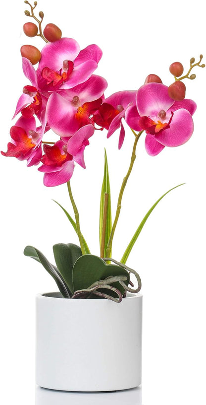 Jusdreen Artificial Purple Orchid in Glass Vase, Realistic Phalaenopsis Arrangement with Potting for Home Office Table Decor, 14.5 Inch Flower Centerpiece