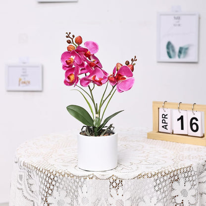 Jusdreen Artificial Purple Orchid in Glass Vase, Realistic Phalaenopsis Arrangement with Potting for Home Office Table Decor, 14.5 Inch Flower Centerpiece