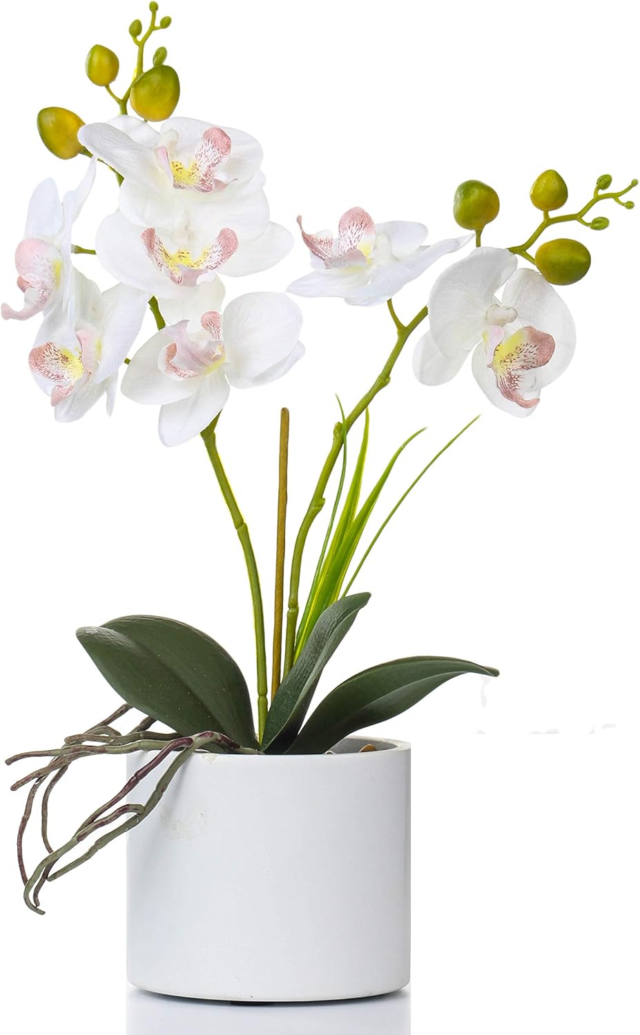 Jusdreen Artificial Purple Orchid in Glass Vase, Realistic Phalaenopsis Arrangement with Potting for Home Office Table Decor, 14.5 Inch Flower Centerpiece