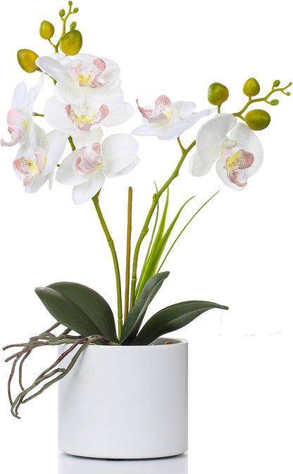 Jusdreen Artificial Purple Orchid in Glass Vase, Realistic Phalaenopsis Arrangement with Potting for Home Office Table Decor, 14.5 Inch Flower Centerpiece