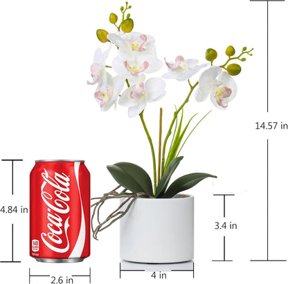 Jusdreen Artificial Purple Orchid in Glass Vase, Realistic Phalaenopsis Arrangement with Potting for Home Office Table Decor, 14.5 Inch Flower Centerpiece