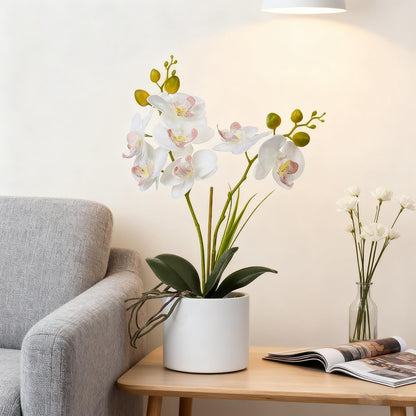Jusdreen Artificial Purple Orchid in Glass Vase, Realistic Phalaenopsis Arrangement with Potting for Home Office Table Decor, 14.5 Inch Flower Centerpiece