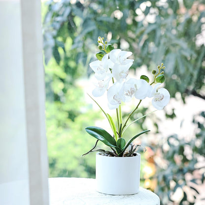 Jusdreen Artificial Purple Orchid in Glass Vase, Realistic Phalaenopsis Arrangement with Potting for Home Office Table Decor, 14.5 Inch Flower Centerpiece