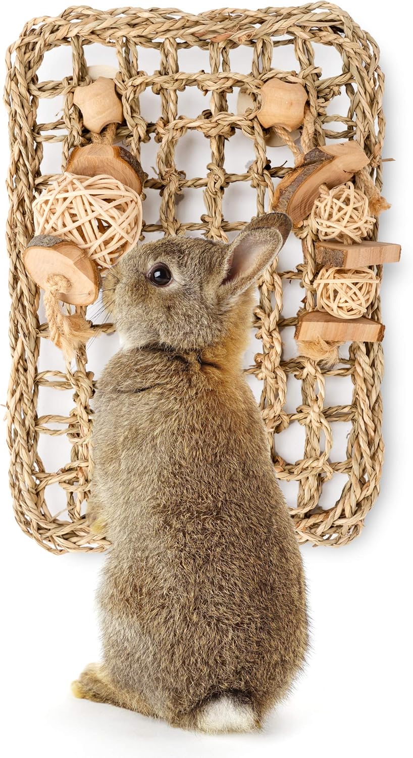 Seagrass Protector Mat with Toys for Rabbit Bunny Chinchilla Guinea Pigs or Other Rodent Pets (11 X 7.87-inch)