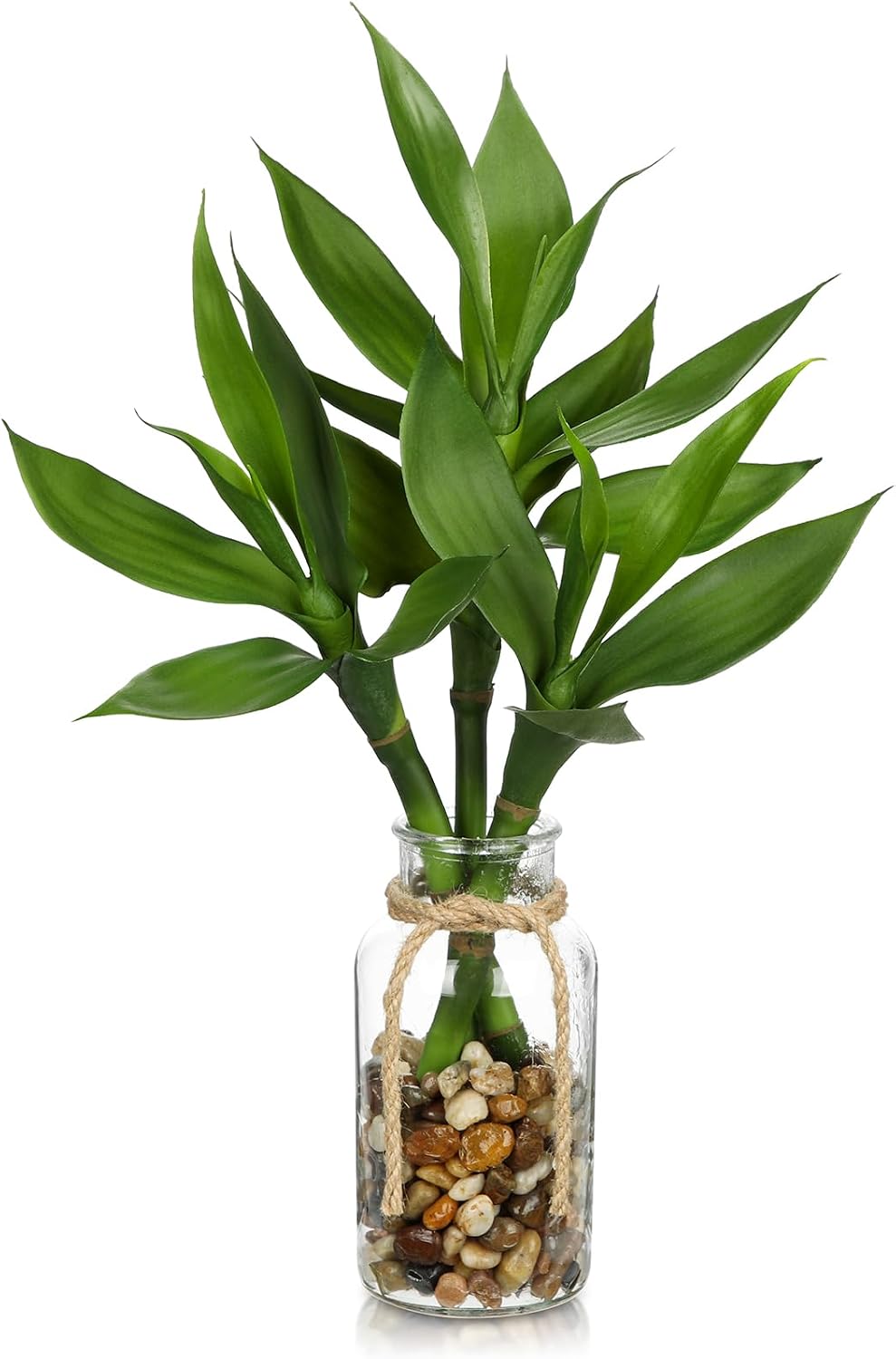 Artificial Lucky Bamboo Plant 17.3 Fake Plant in Rectangular Glass Pot for Centerpiece Table Decorations Farmhouse Wedding Home Greenery Decor