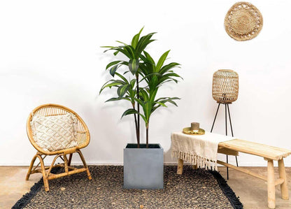 6ft Artificial Fiddle Leaf Fig Tree for Home Decor, 6 Feet Large Faux Plant Fake Ficus lyrata Silk Trees with Pot for Indoor Outdoor House Living Room Office (6 ft Tall)