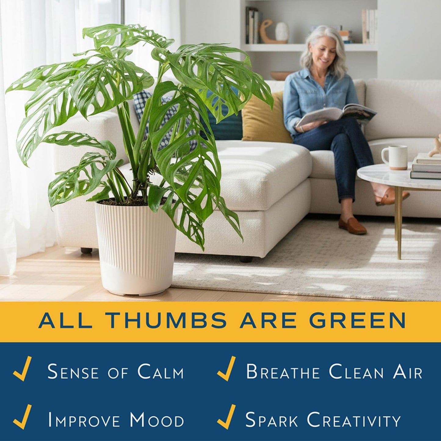 Alocasia Reginae Live Plant, Rare Tropical Collector Item, 6-Inch Self Watering Pot, Exotic Silver-Blue Foliage, Indoor Plant Stand & Shelf Decor, Home or Office Gift, 12-18 Inches Tall