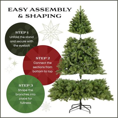 6ft Unlit Dunhill Fir Artificial Full Christmas Tree