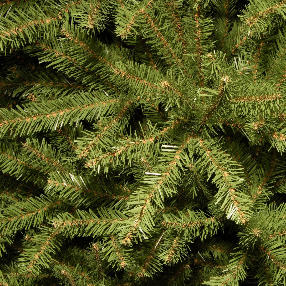 6ft Unlit Dunhill Fir Artificial Full Christmas Tree